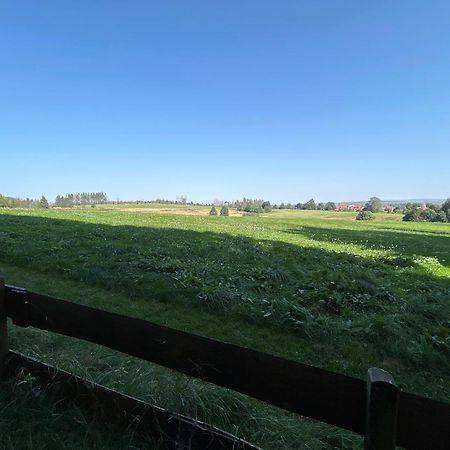 קלאוסטל-צלרפלד Bergwiesenblick38678 מראה חיצוני תמונה